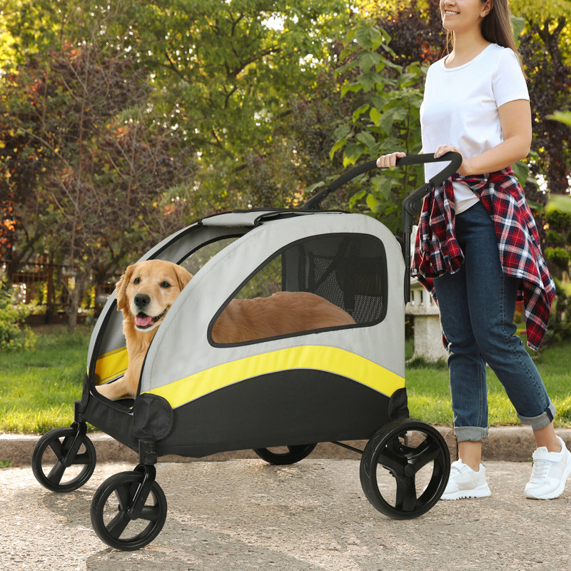 BingoPaw Foldable Standard Stroller & Reviews | Wayfair
